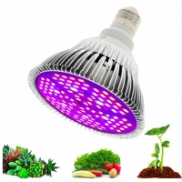 LAMPGROW80W