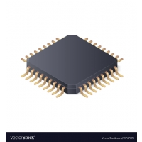 Microchip