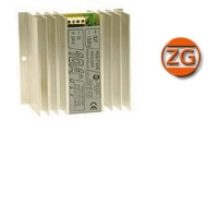 R10 ZETAGI